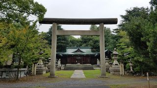 厳かな雰囲気のなかで栗鼠とかくれんぼ