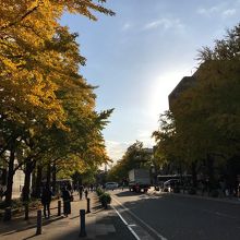紅葉が始まっています