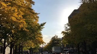 紅葉が始まっています