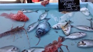 新鮮な魚介類の市場