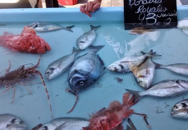 新鮮な魚介類の市場