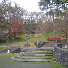 広場を囲む雑木林と紅葉！