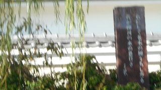 柳がぴったりの”柳川”