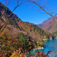 川本紅葉と青空