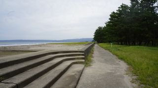 サイクリングロードのような感じの細く続く道