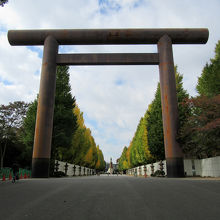 「大鳥居」、さすがの大きさです