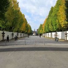 参道を進むと、目の前には…