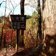 大滝と長坂道分岐