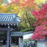 円照寺に紅葉を見に行きました