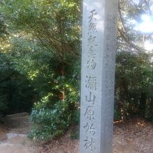 原始林の石碑です