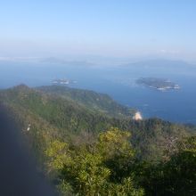 原始林の一部です