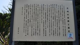 景色は良かったです