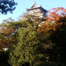 護国神社近くからみた天守閣です