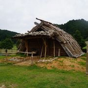 公園として楽しむだけでもありですが