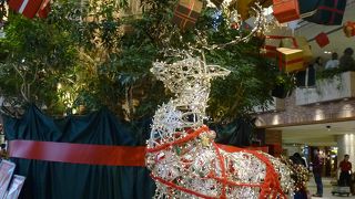 いつ行っても楽しい