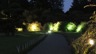 夜の偕楽園