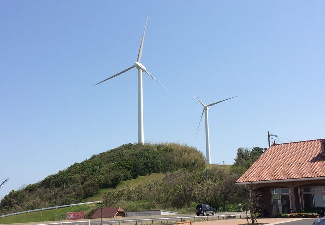 可愛い名前の風力発電所。景色がいいです☆