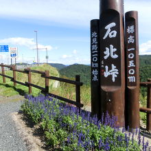 遠くまで見えない風景