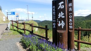 遠くまでの展望はない風景なんですね