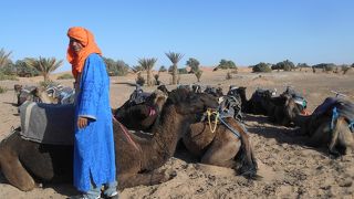 突っ込みどころ満載のサハラツアー