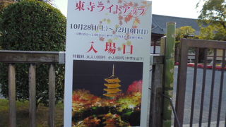 この季節はライトアップも