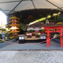 正面から写したものです