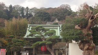 境内からの眺めが良い