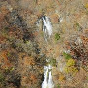 今回は水の量が多かった