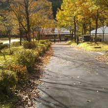 自然に囲まれた高規格キャンプ場