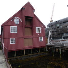 海岸側から見た博物館