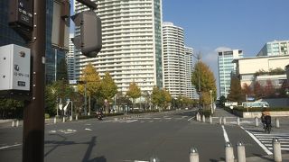 黄色く色づいてきました