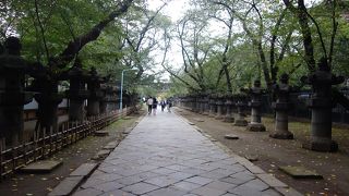 参道の両側に並ぶ石灯籠