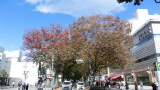 府中のシンボル