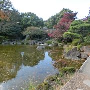 日本庭園、紅葉が見ごろだった