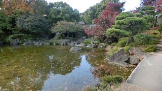 日本庭園、紅葉が見ごろだった