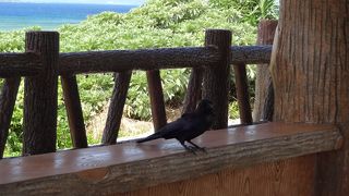 晴れた日にリベンジするも…