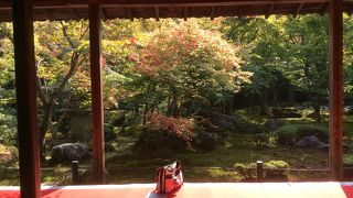 訪れて良かった