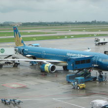 やはり目立つベトナム航空機～