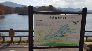 凍結しない場所