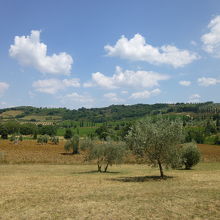 目の前に広がる風景