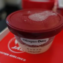 ハーゲンダッツ（キャラメル）