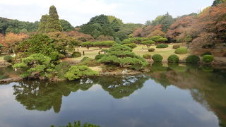 池の向こうからこの建物を見ると全然違って見えるのですね？