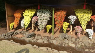 新宿御苑の近くで数年働いていたのに定年になって初めて訪問