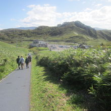 駐車場傍のメインルートの様子