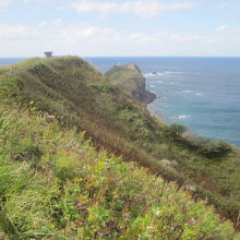 遊歩道のマイナールートから望む神威岬はこんなアングルです