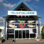 無料の水族館