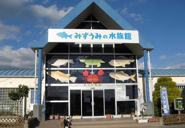 無料の水族館