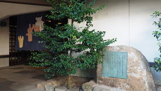 無料で見られます