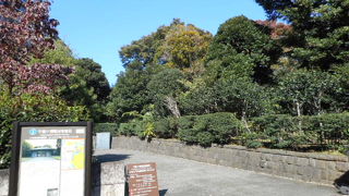 深い緑の中に眠る無名戦士たち