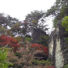 紅葉が美しい